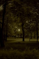 /album/wiejskie-klimaty/park3a-jpg/