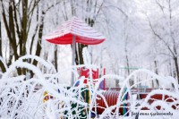 /album/fotokrasnik/a15977068-1311511262249339-4836039828567112318-n-jpg1/