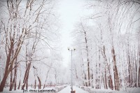 /album/fotokrasnik/a16143085-1311512218915910-1385338716797184554-n-jpg1/