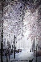 /album/fotokrasnik/a15977461-1311511388915993-8304095077046336100-n-jpg1/