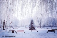 /album/fotokrasnik/a16142214-1311511932249272-1969958477263175775-n-jpg1/