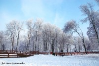 /album/fotokrasnik/a16142799-1311511795582619-3152275805913904045-n-jpg1/
